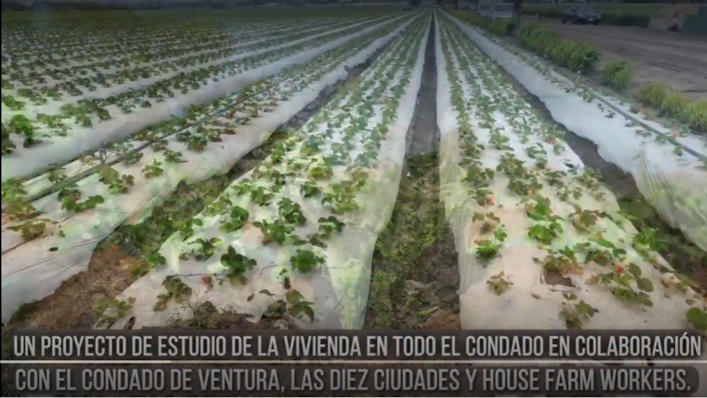 Aerial view of vegetable farm rows with overlaid Spanish text related to a local county housing study project in collaboration with Ventura County, ten cities, and house farm workers.