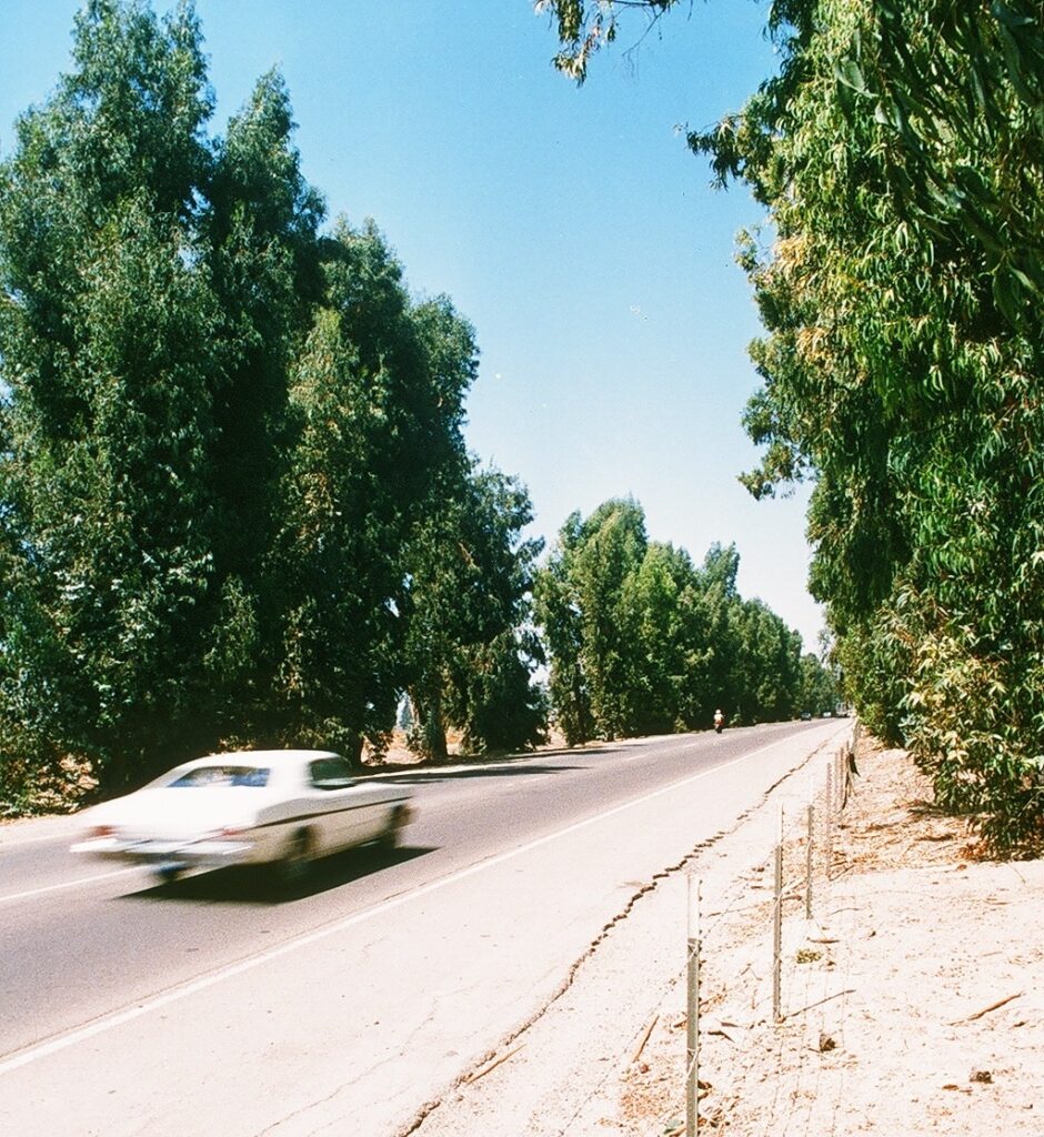 A blurry car speeding on a clear roadside bordered by trees and shrubs under a blue sky.