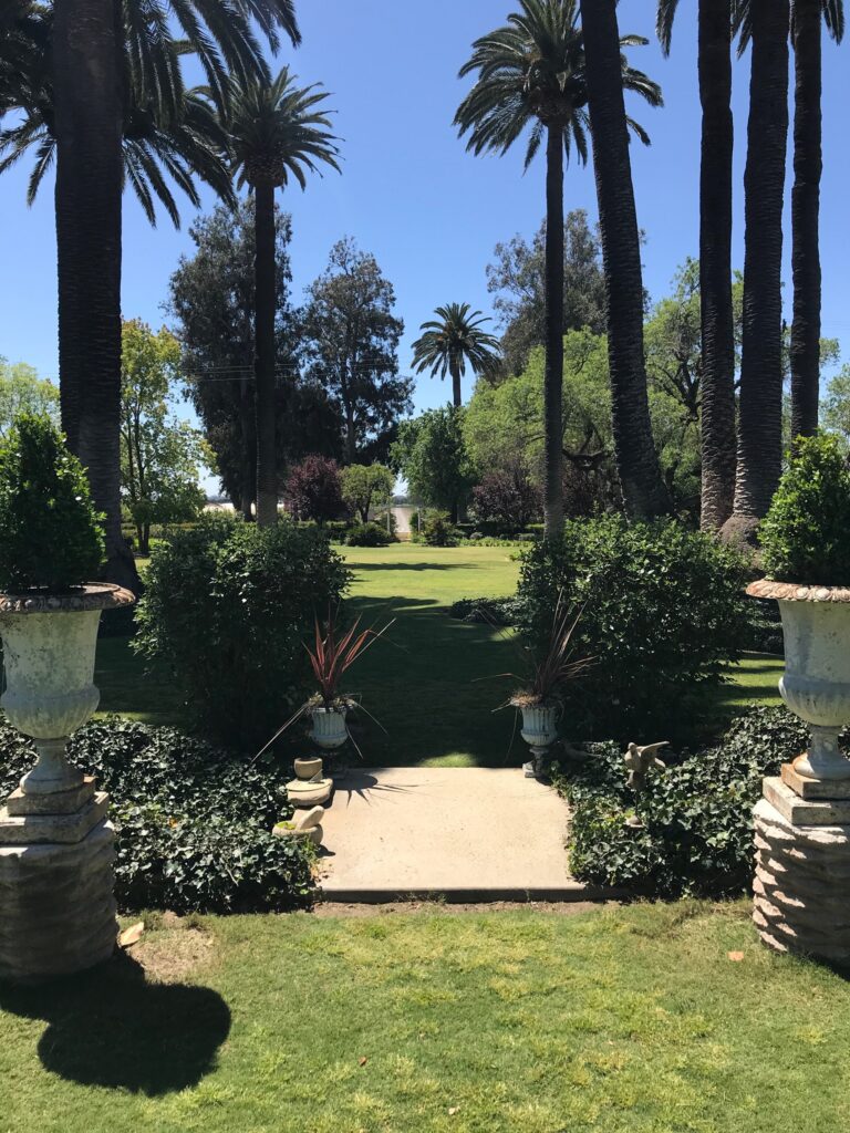 View of landscaped front yard with palm trees and manicured bushes.