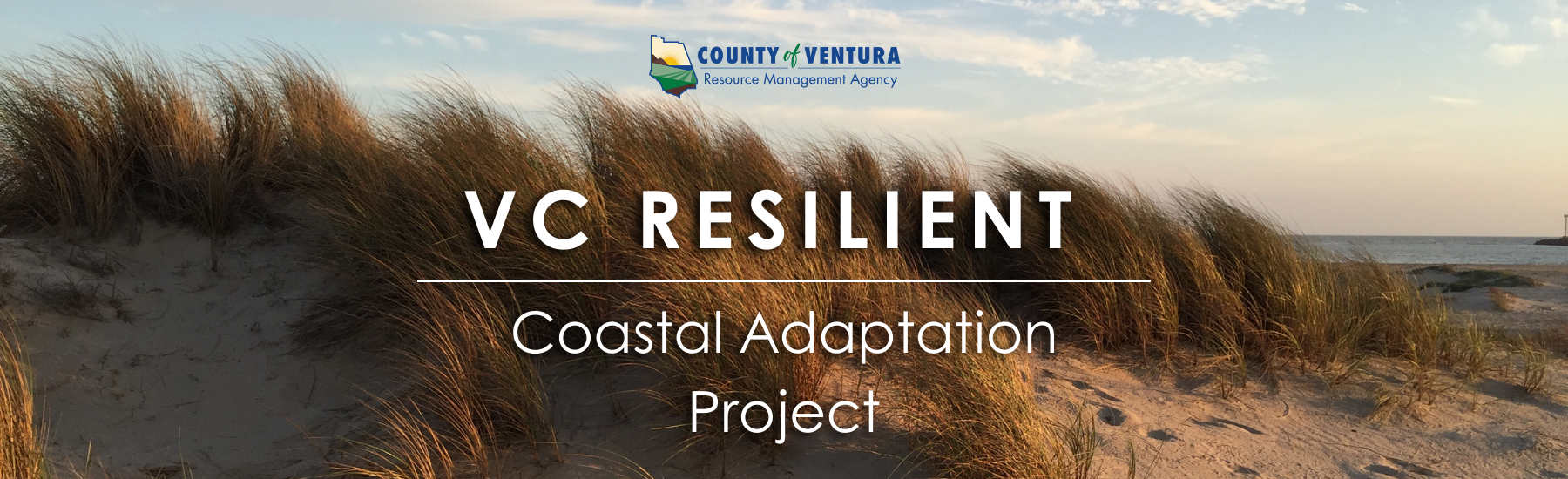 Dune grass with the logo of County of Ventura and text reading "VC Resilient Coastal Adaptation Project".